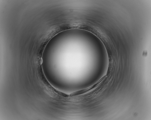 X0000091370601200708101534