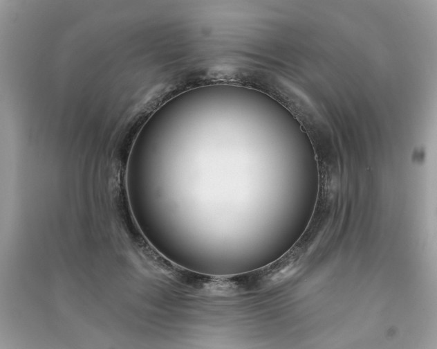 X0000091370603200708101534