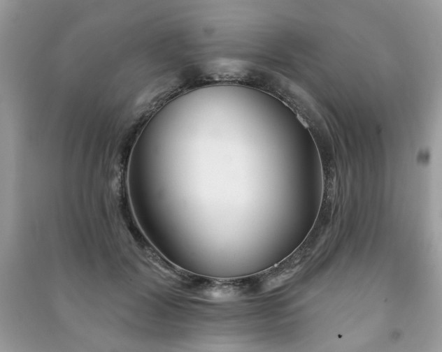 X0000091370604200708101534