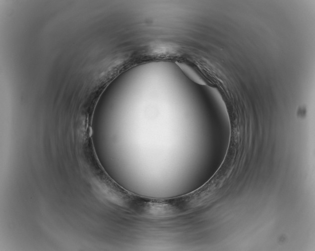 X0000091370605200708101534