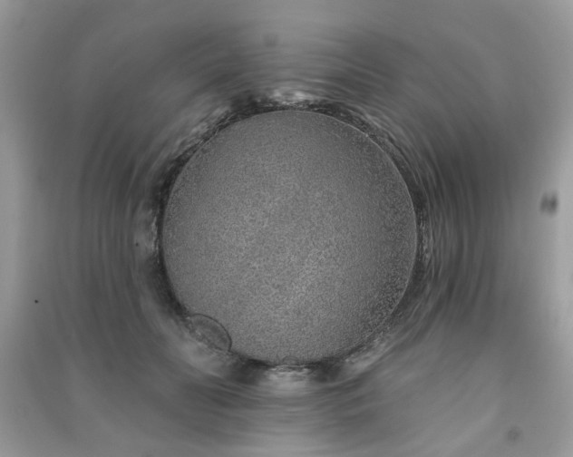 X0000091370606200708101534