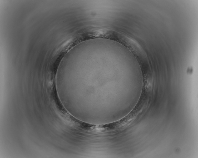 X0000091370607200708101534