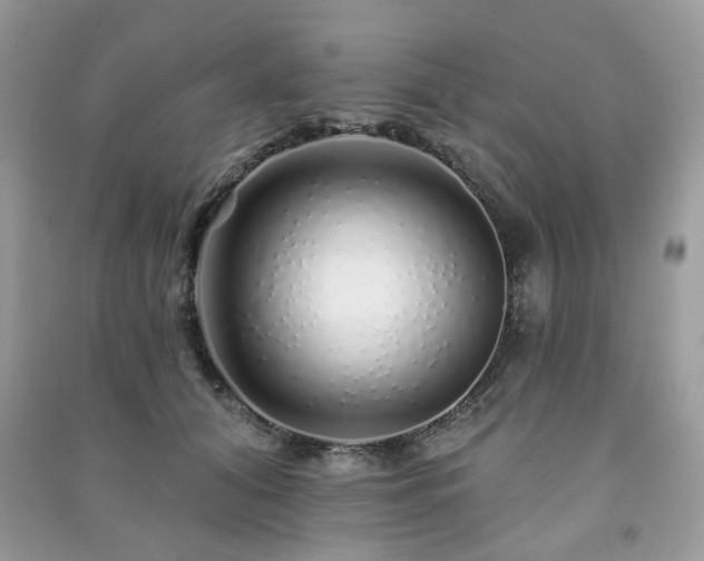 X0000091370608200708101534