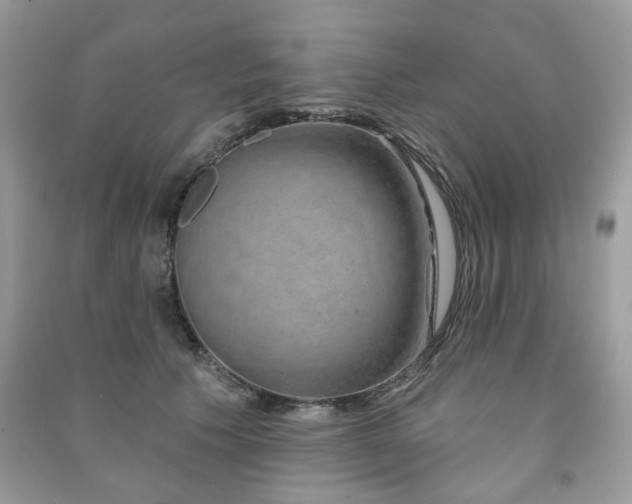 X0000091370609200708101534