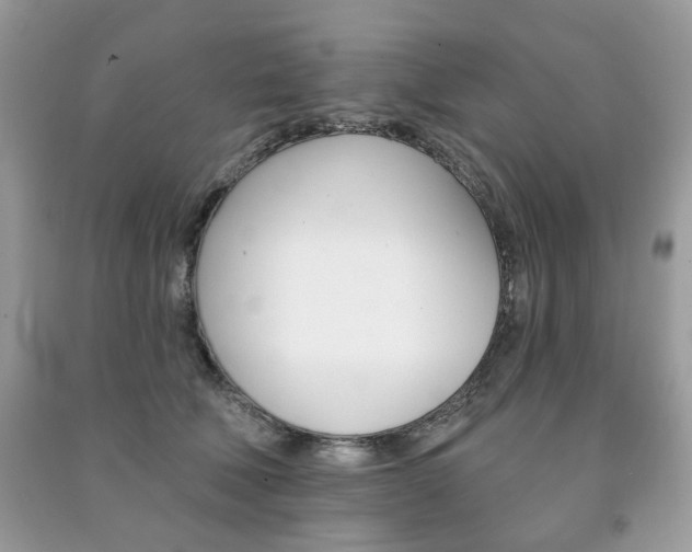 X0000091370610200708101534