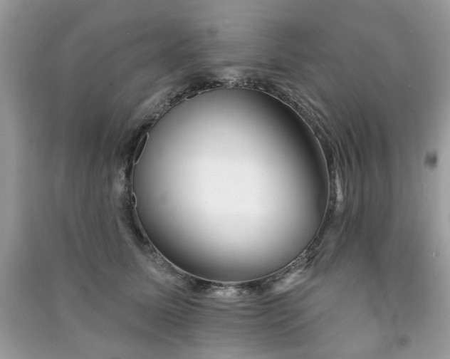 X0000091370611200708101534