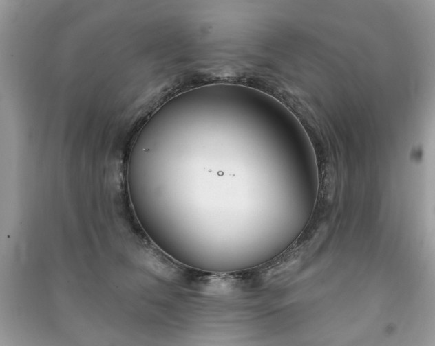 X0000091370612200708101534