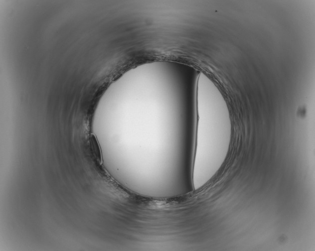 X0000091370613200708101534