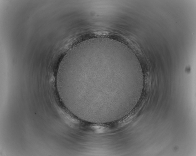 X0000091370614200708101534