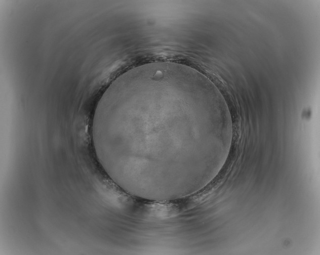 X0000091370615200708101534