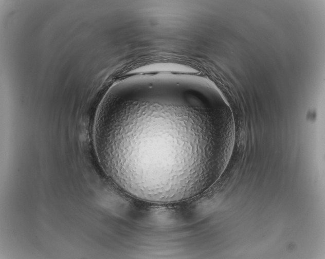 X0000091370616200708101534