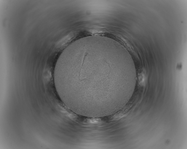 X0000091370618200708101534