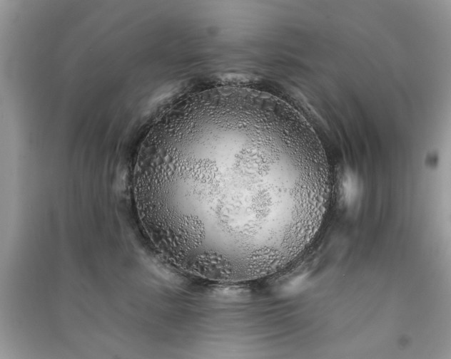 X0000091370619200708101534