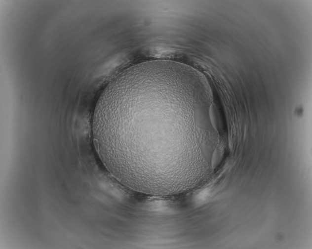 X0000091370620200708101533