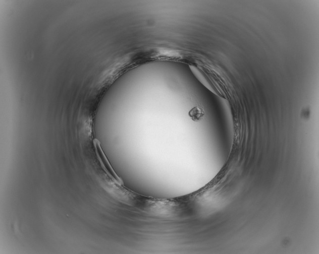 X0000091370621200708101533