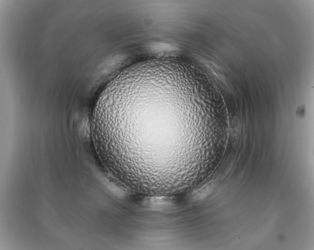 X0000091370622200708101533