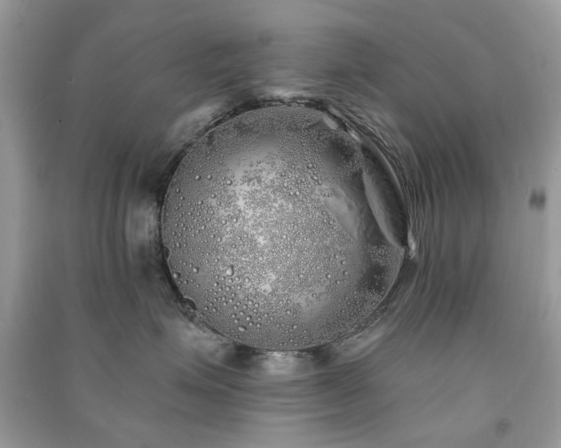 X0000091370623200708101533