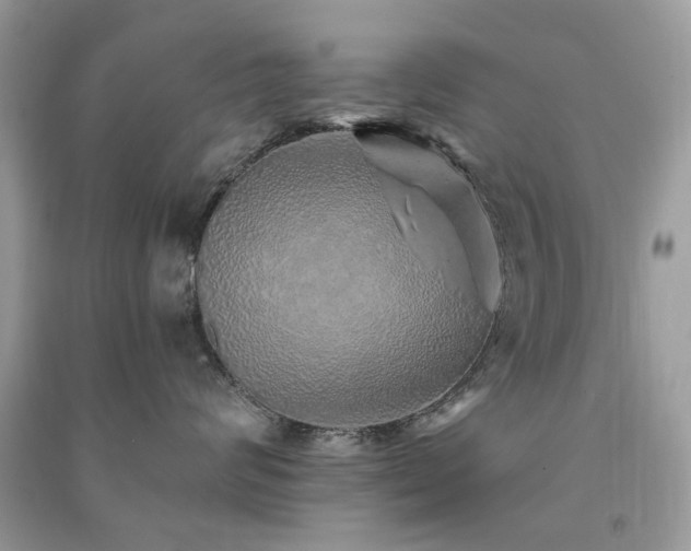 X0000091370624200708101533