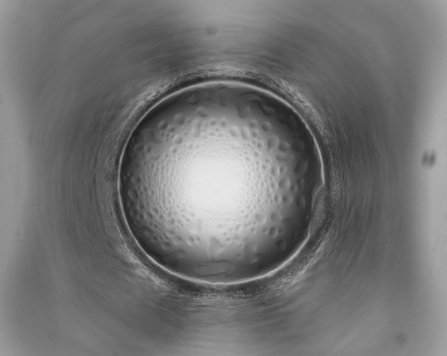 X0000091370625200708101533