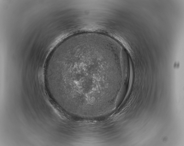 X0000091370626200708101533