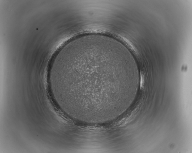 X0000091370627200708101533