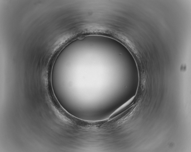 X0000091370629200708101533