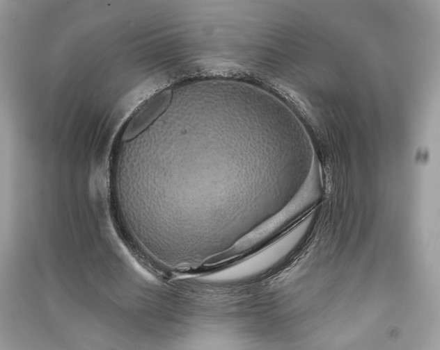 X0000091370630200708101533