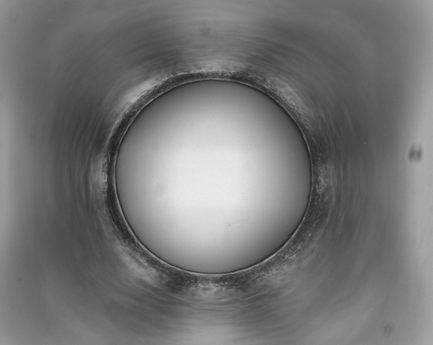 X0000091370632200708101533