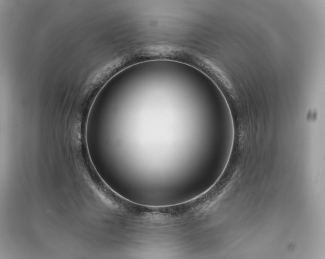 X0000091370633200708101533