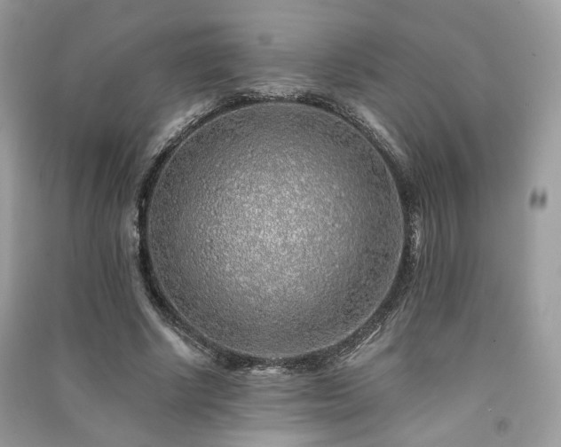 X0000091370634200708101533