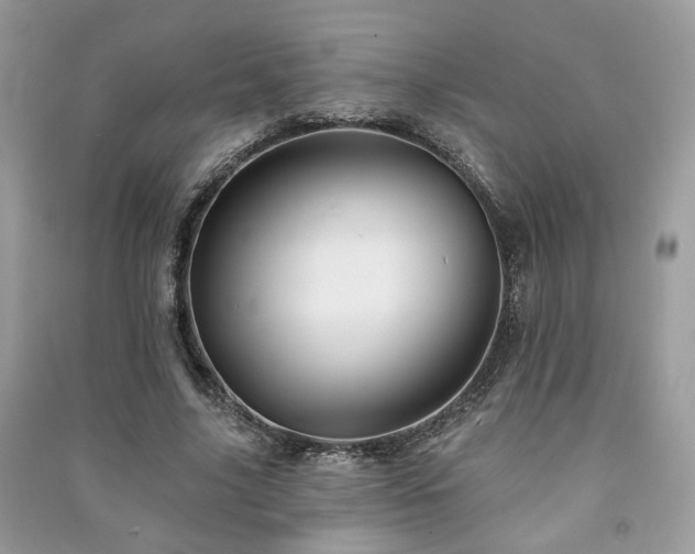 X0000091370635200708101533