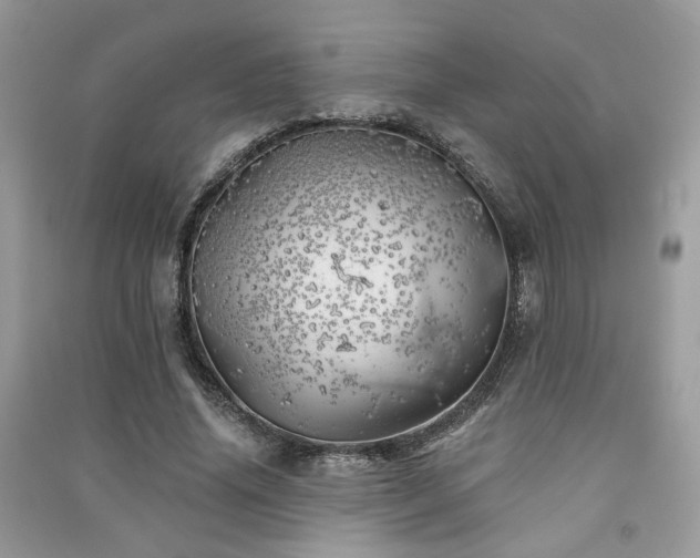 X0000091370636200708101533