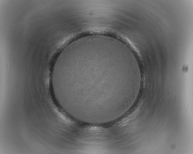 X0000091370637200708101533