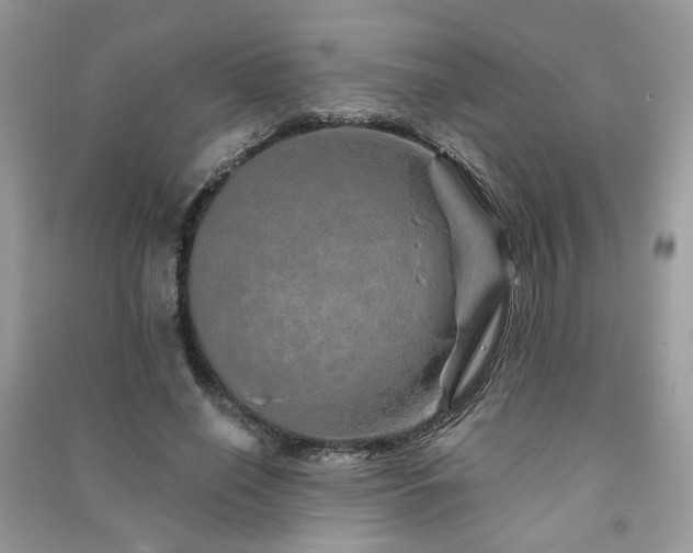 X0000091370638200708101533