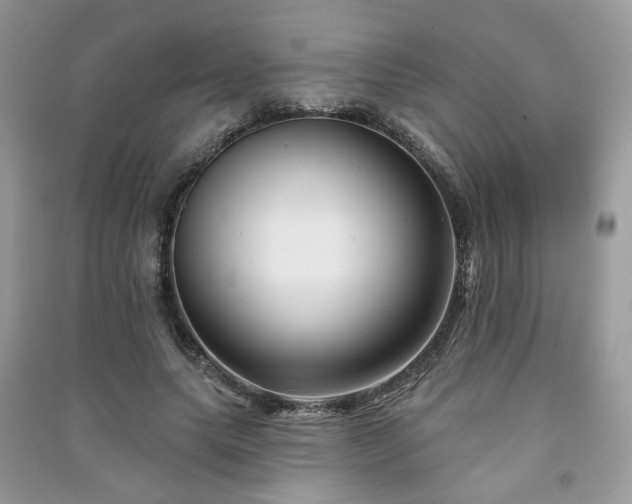 X0000091370639200708101533