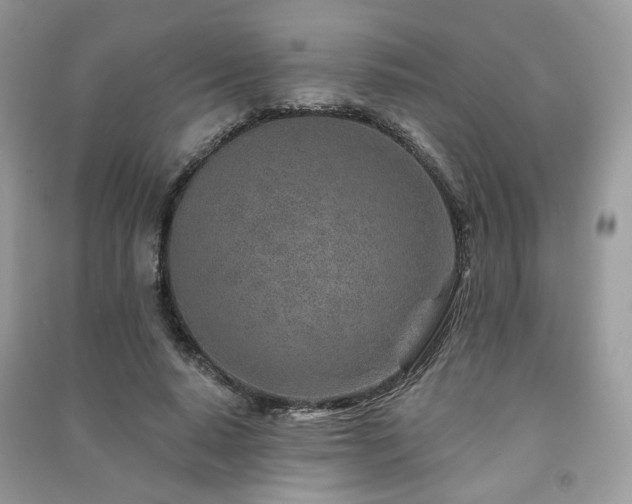 X0000091370640200708101533