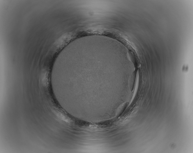 X0000091370641200708101533