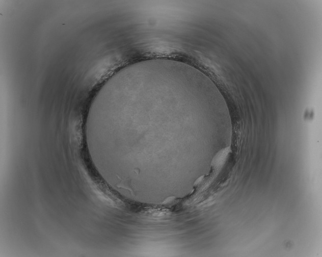 X0000091370642200708101533