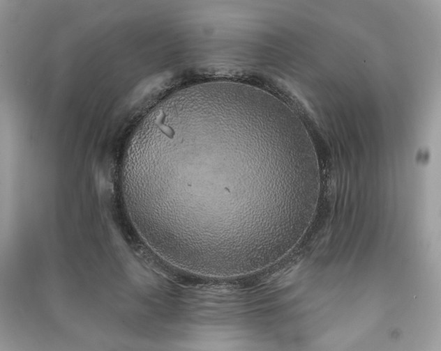 X0000091370643200708101533