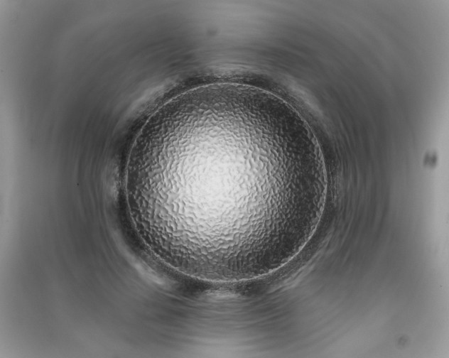 X0000091370644200708101533