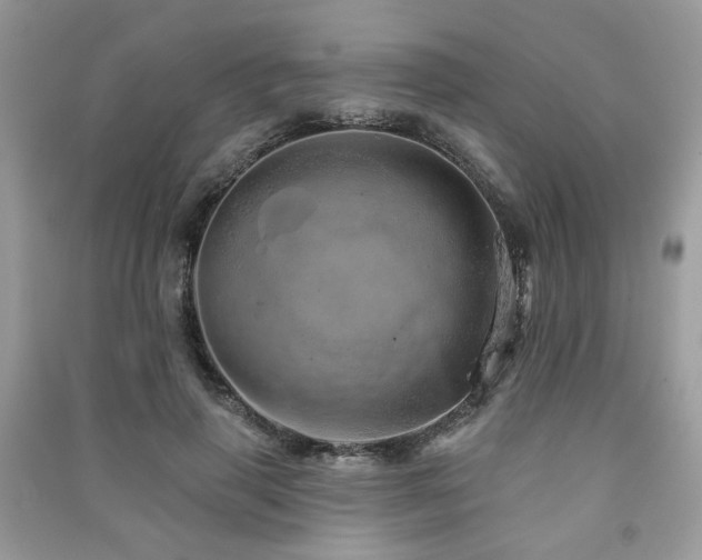 X0000091370645200708101533