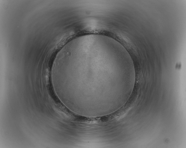 X0000091370646200708101533