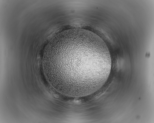 X0000091370647200708101533