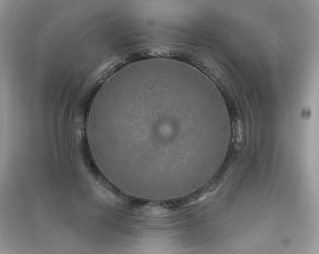 X0000091370648200708101533