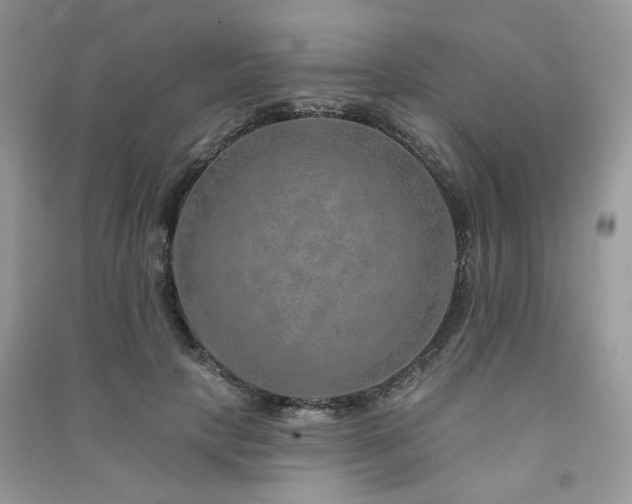 X0000091370649200708101533