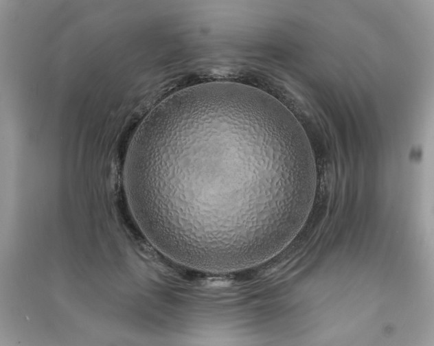 X0000091370651200708101533