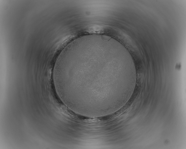 X0000091370652200708101533