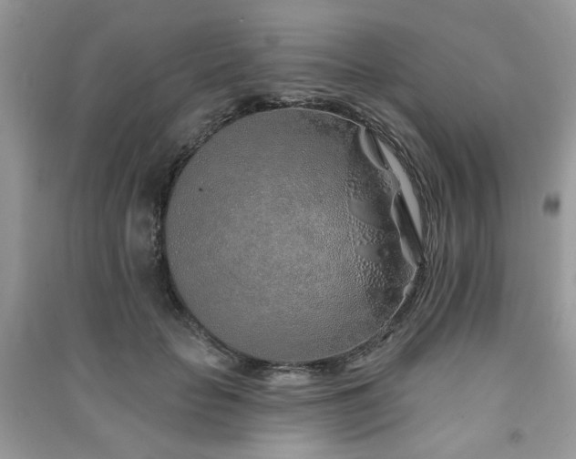 X0000091370653200708101533