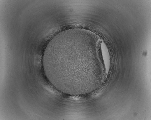 X0000091370654200708101533