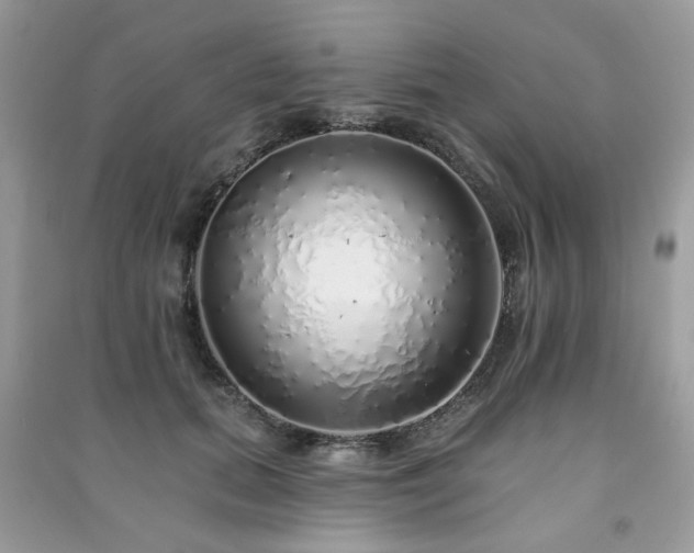 X0000091370655200708101533